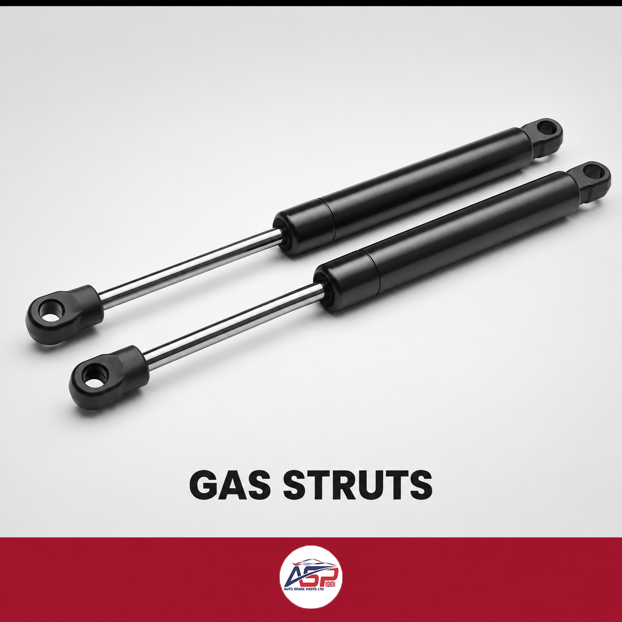 Gas Struts